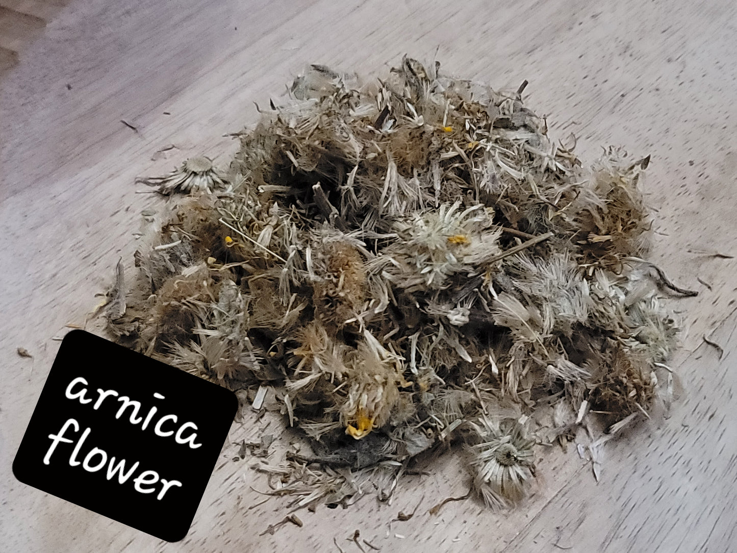 Arnica