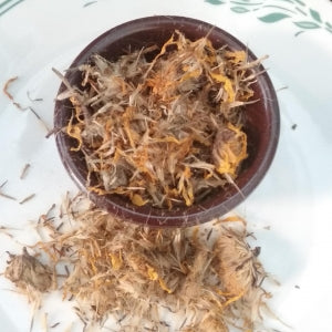 Arnica