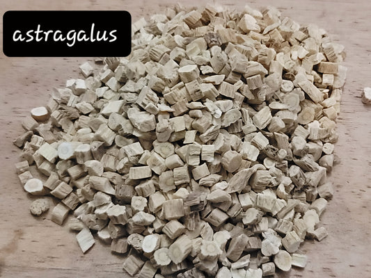 Astragalus
