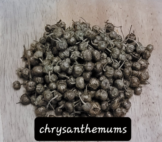 Chrysanthemum