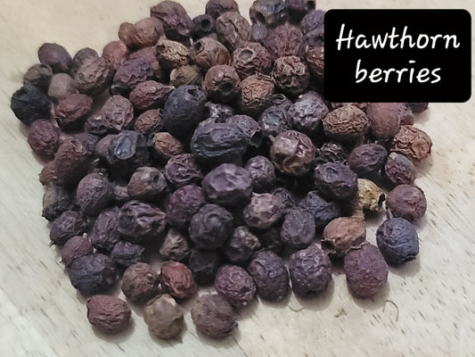 Hawthorne Berries