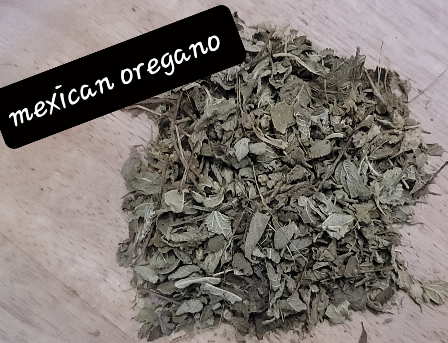 Mexican Oregano