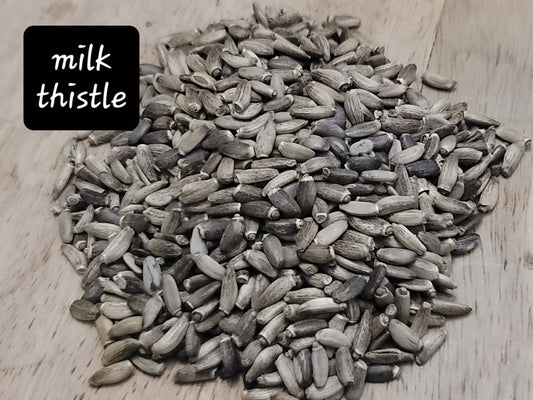 Milk Thistle