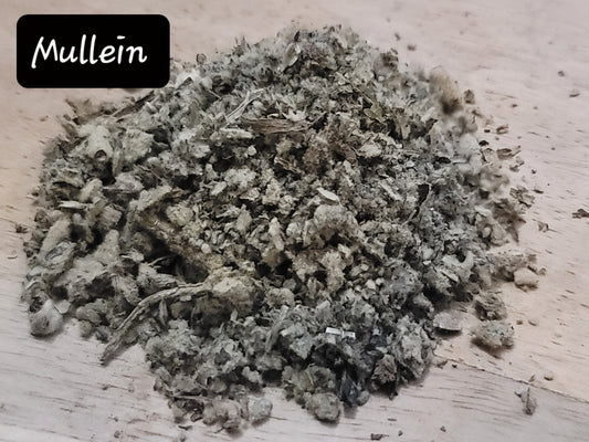 Mullein