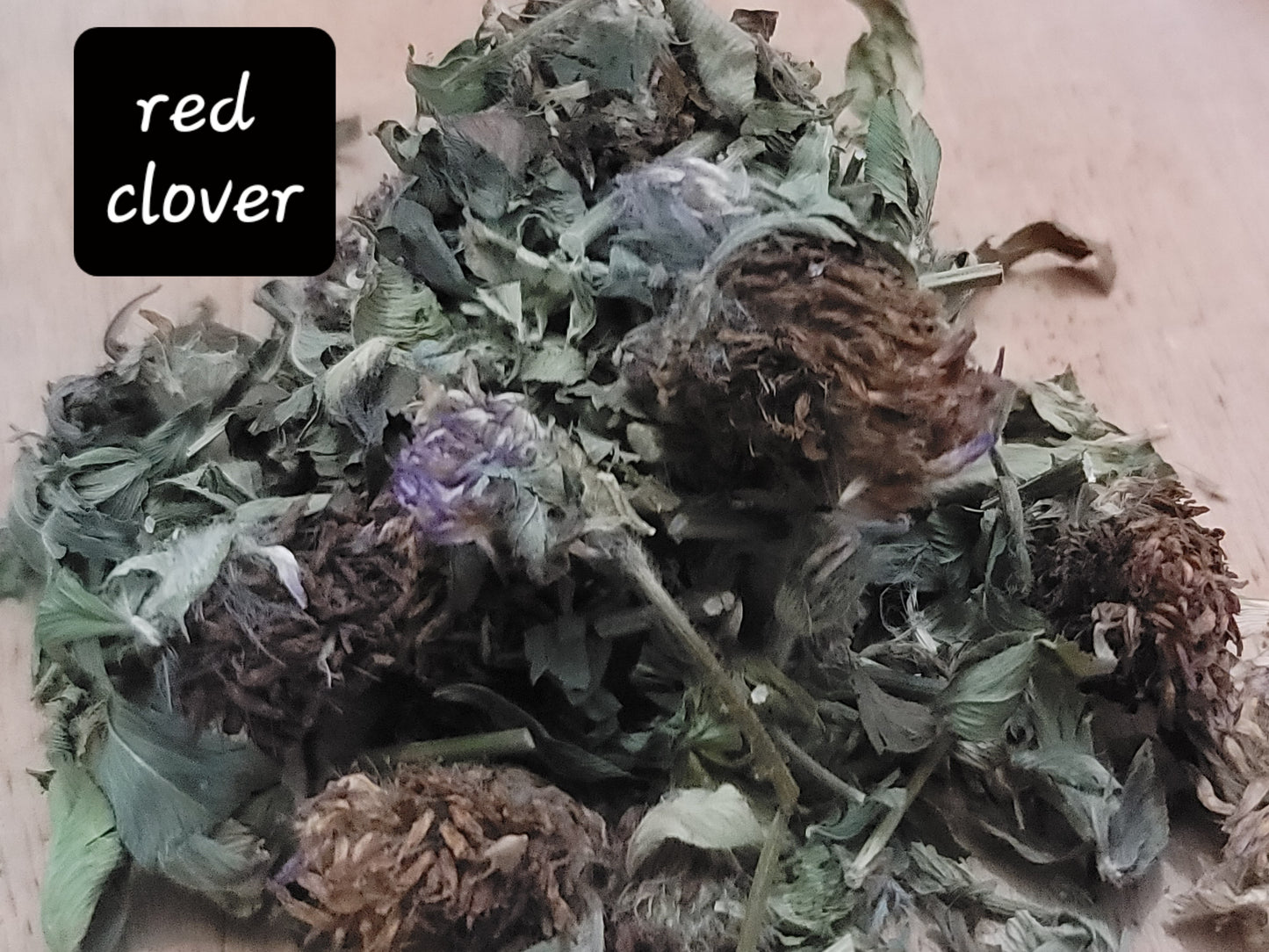 Red Clover