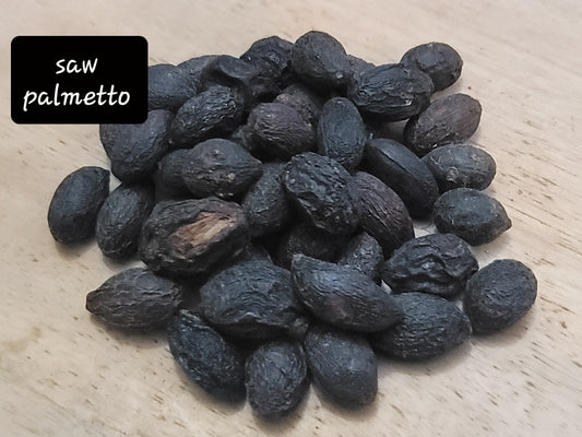 Saw Palmetto