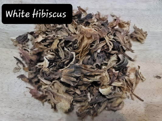 White Hibiscus